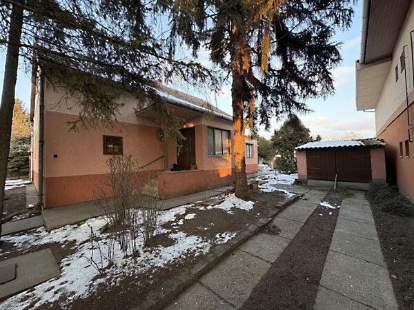 Rezeda, Hódmezővásárhely képe