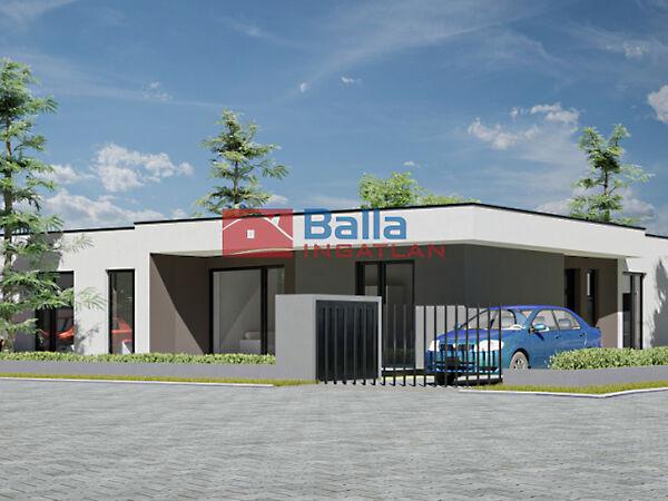 Géza fejedelem, Hatvan képe