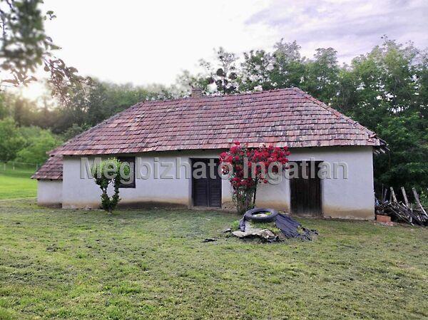 Kehidakustány képe