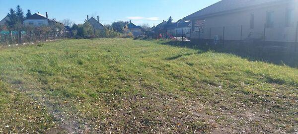 Wesselényi, Hajdúsámson képe