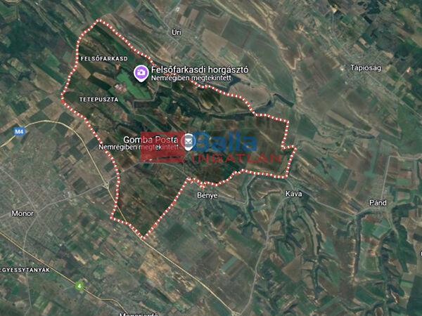 Felsőfarkasd - Völgy, Gomba képe