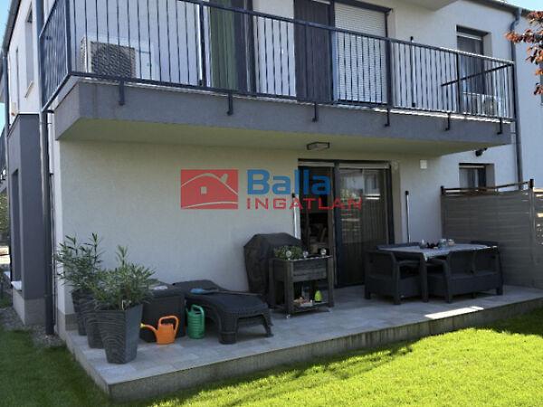 Zebra, Budapest, XVI. kerület képe