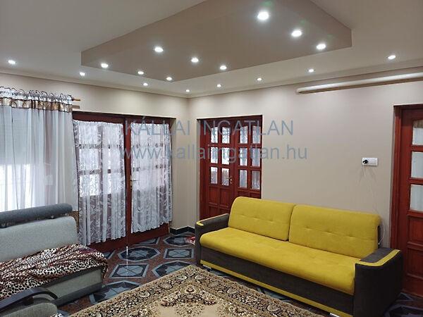 Petőfi, Pátroha képe