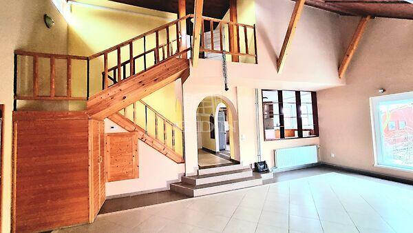 Madách, Solymár képe