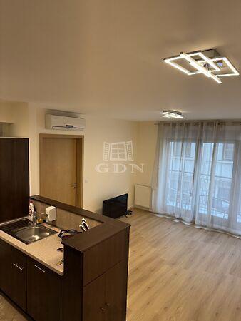 Holló, Budapest, VII. kerület képe