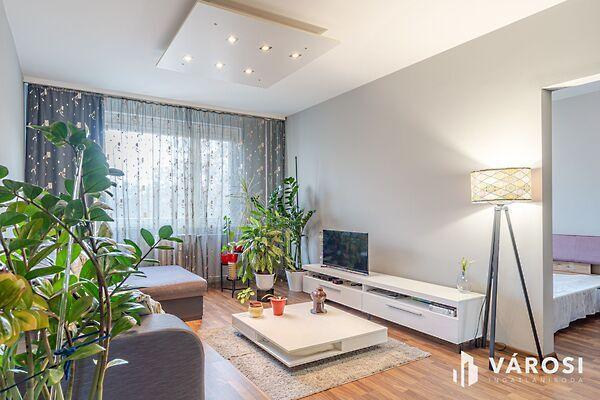 Szeged, Szeged képe