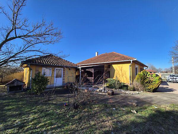 Czuczor, Kiskunhalas képe