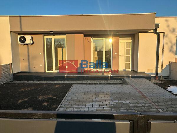 Géza fejedelem, Hatvan képe