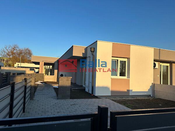 Géza fejedelem, Hatvan képe