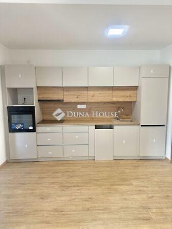 Surányi Miklós, Pécs képe