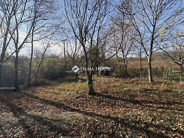 Szabadság, Alcsútdoboz képe