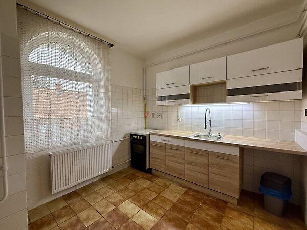 Táncsics Mihály, Székesfehérvár képe