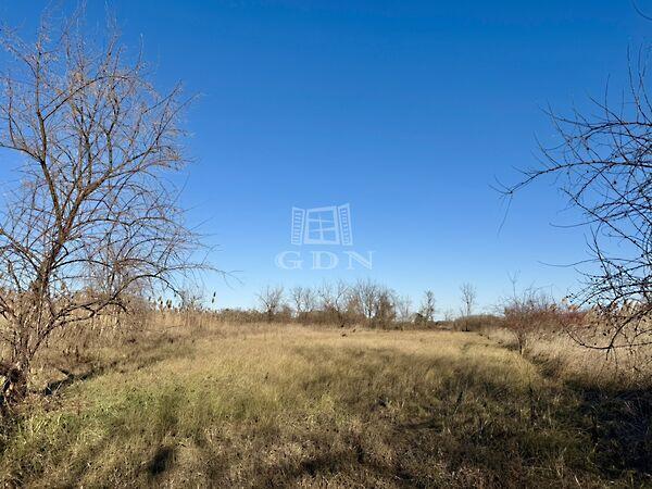 Üdülősor, Szigetszentmiklós képe