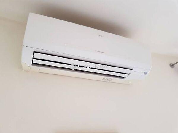 Surányi Miklós, Pécs képe