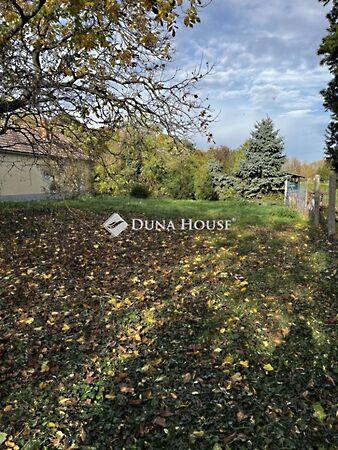 Sziget, Vámosszabadi képe