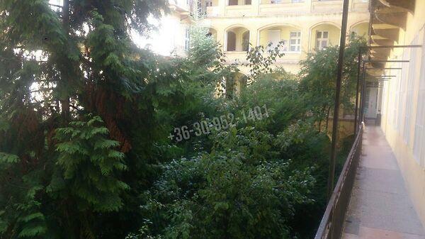 Bodonyi, Budapest, VI. kerület képe