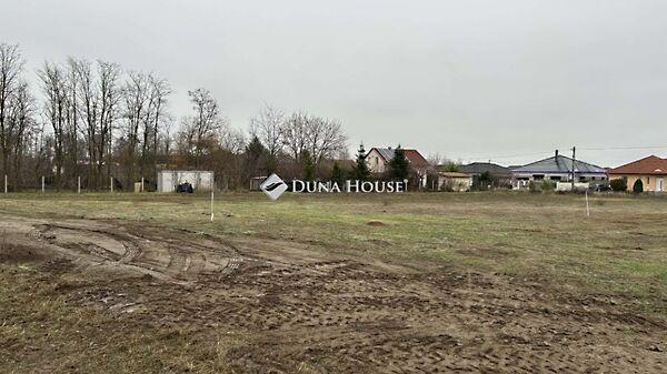 Kiskunfélegyháza képe