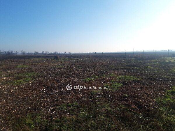 Kápolnásnyék képe