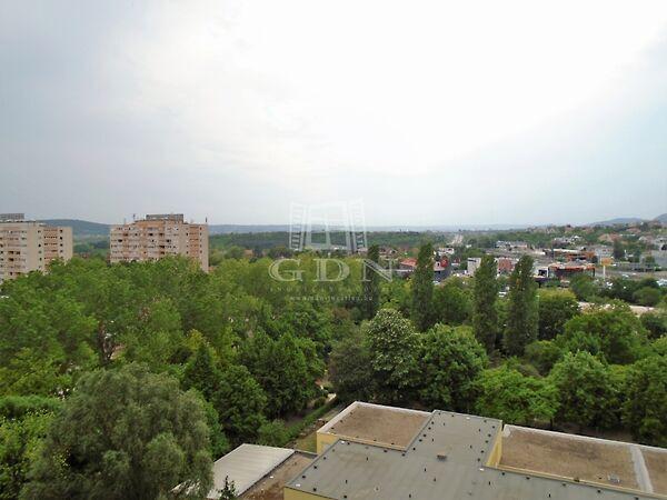 Kérő, Budapest, XI. kerület képe