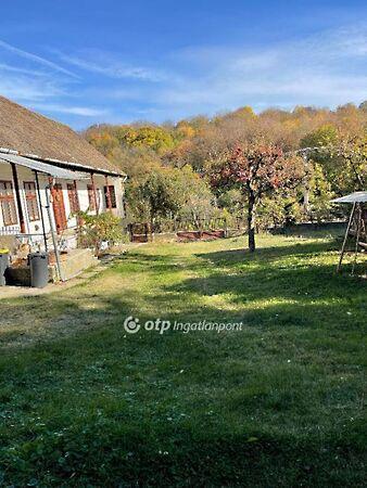 Petőfi Sándor, Cikó képe