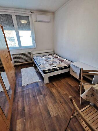 Kodály Zoltán, Baja képe