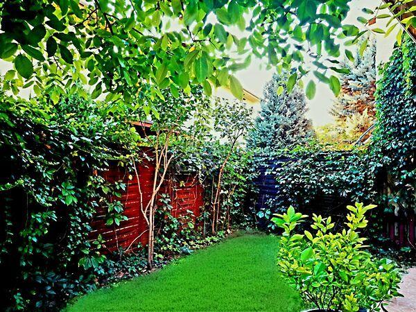 Helikopter, Budapest, XVII. kerület képe