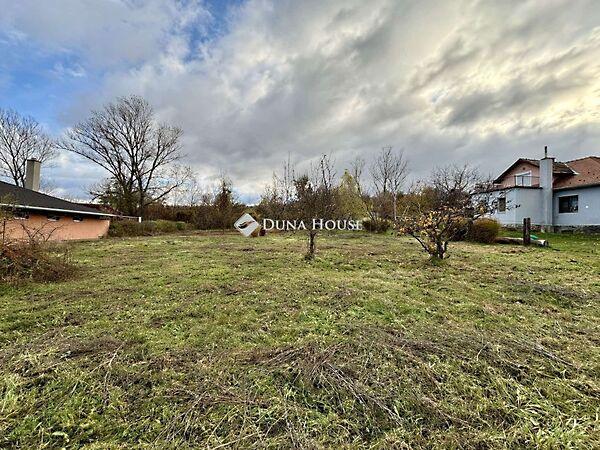 Zrínyi Miklós, Lábatlan képe