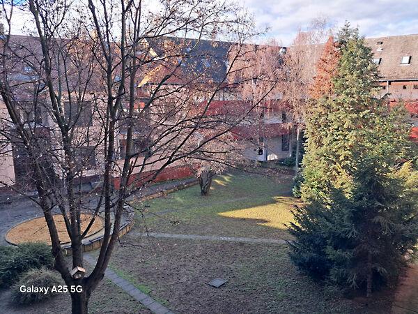 Alkotmány utca, Pécs képe