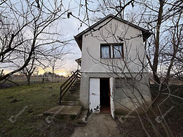 Deák Ferenc, Pacsa képe