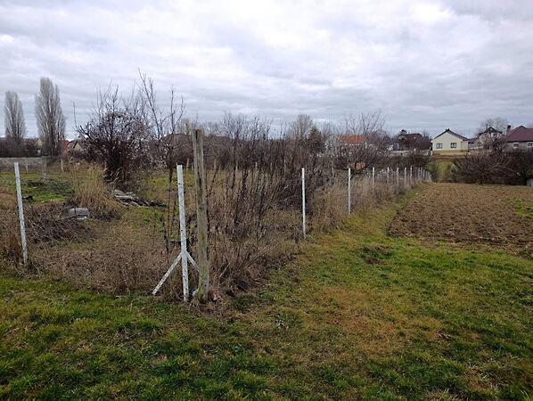 Szentkirályszabadja képe