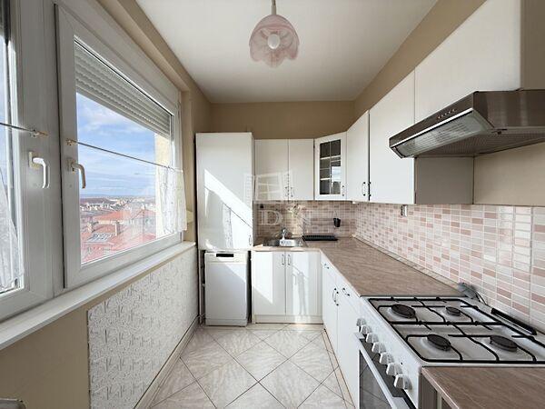 Kígyó, Székesfehérvár képe