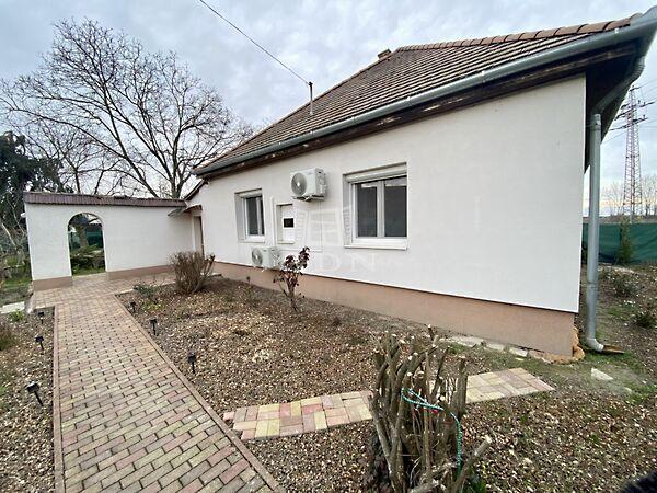 Vasvári Pál, Ráckeve képe