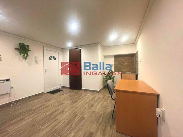 Dr.Csányi László, Vác képe