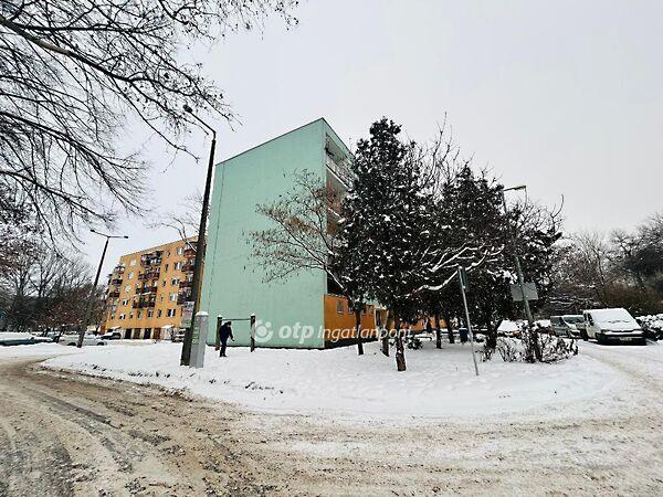 Arany János, Nyíregyháza képe