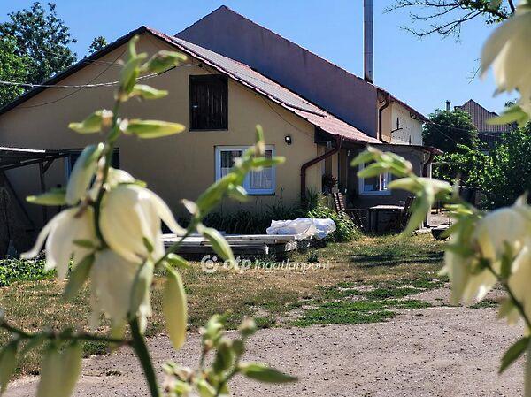 József Attila, Hajdúnánás képe