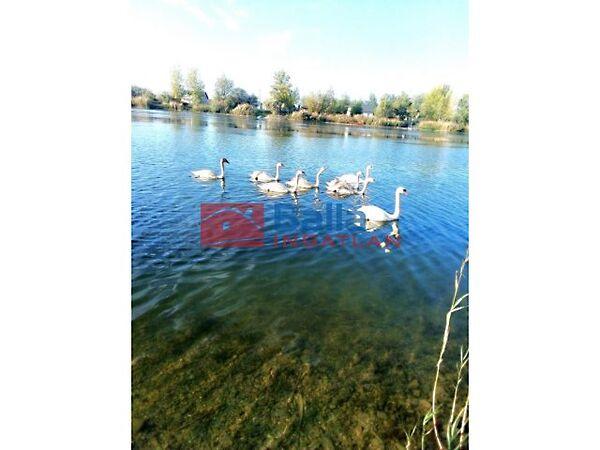 Bányász, Délegyháza képe