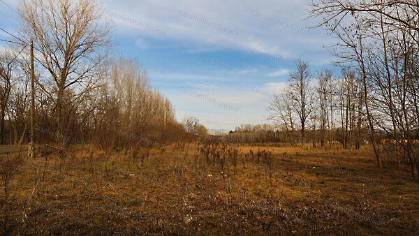 Tápiószentmárton képe