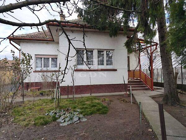 Fő, Dunaharaszti képe