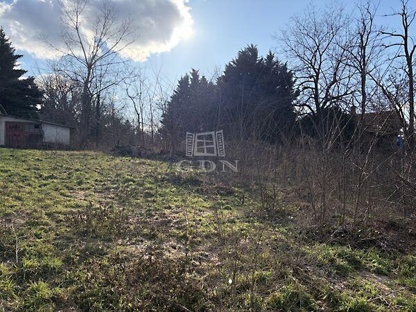 Lotz Károly utca, Mogyoród képe