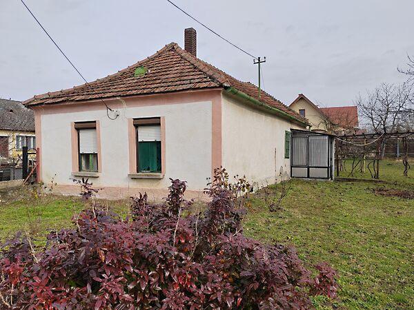 Rákóczi, Gyulakeszi képe