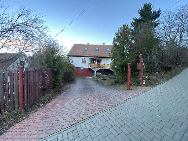 Erdő, Nagykovácsi képe