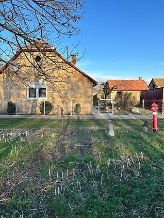 Kossuth, Kislippó képe