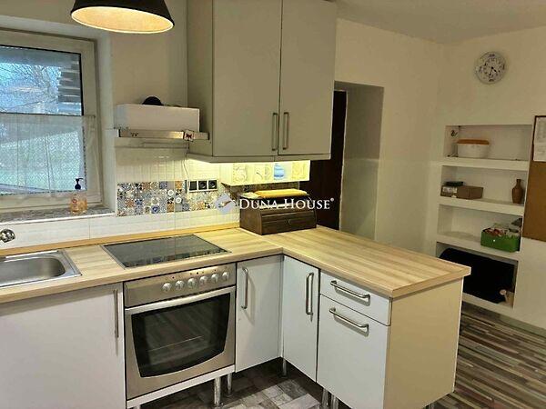 Petőfi Sándor, Hásságy képe