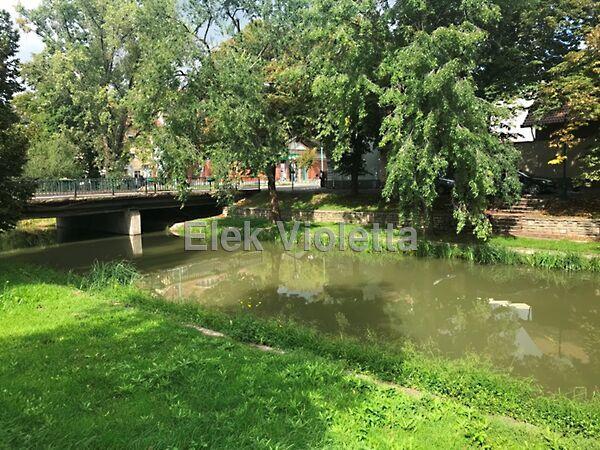 Bodoky utca, Gyula képe