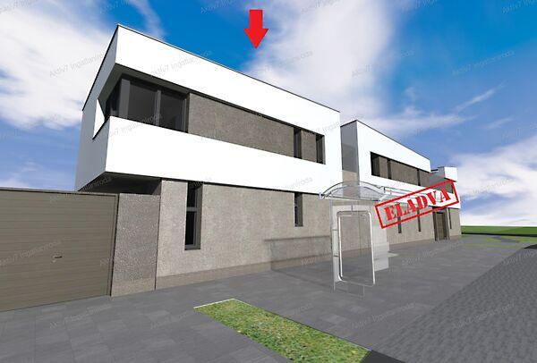 Vinkler László, Szeged képe