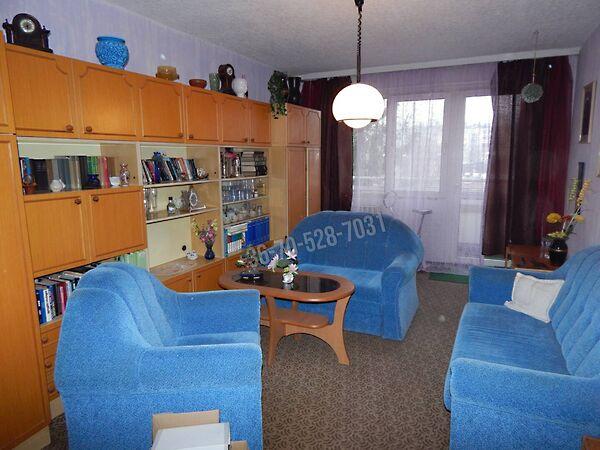 Gál István, Tatabánya képe