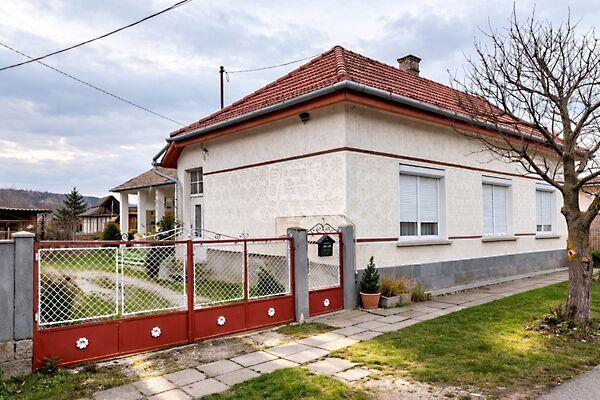 Vak Bottyán, Pátka képe