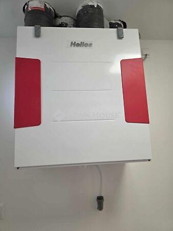 Viola, Szekszárd képe