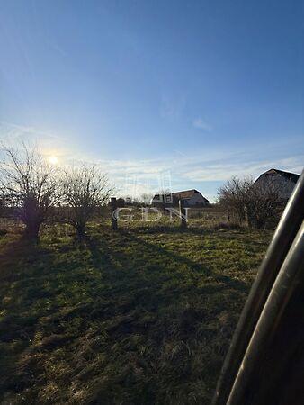 Sárbogárd-Szarvas, Sárbogárd képe