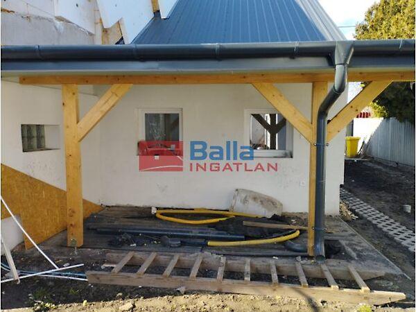 Petőfi, Dunaharaszti képe